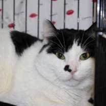 Thumbnail photo of Ed #3