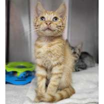 Thumbnail photo of Round Rainbow #1