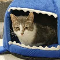 Thumbnail photo of Lavern #1