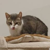 Thumbnail photo of Lavern #2