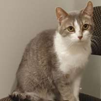 Thumbnail photo of Lavern #4