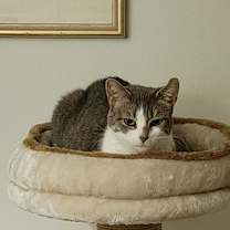 Thumbnail photo of Lavern #3