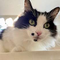 Thumbnail photo of Hammy #1