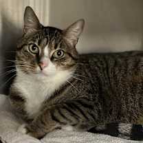 Thumbnail photo of Oliver #1