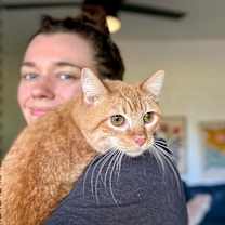 Thumbnail photo of Ken Doll #3