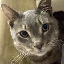 Thumbnail photo of STITCH #2