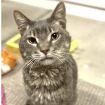 Thumbnail photo of STITCH #3