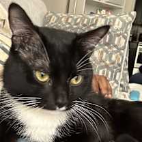 Thumbnail photo of Raj #2