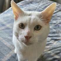 Thumbnail photo of Yukon #3