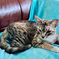 Thumbnail photo of Jayce #1