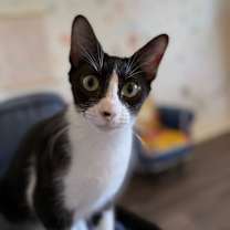 Thumbnail photo of Rosie Juliette #4