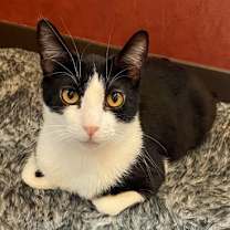 Thumbnail photo of Tyler #1