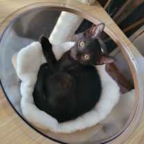 Thumbnail photo of SLICE #2