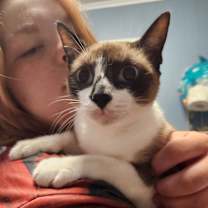 Thumbnail photo of Stella #2