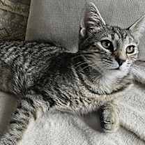 Thumbnail photo of Coral #1