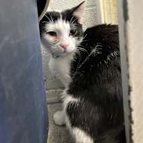 Thumbnail photo of Jeremiah #1