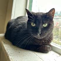 Thumbnail photo of Bindy #2