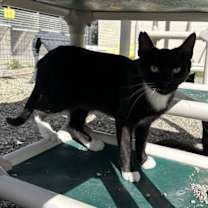 Thumbnail photo of Abigail #1