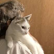 Thumbnail photo of Larry, Darrell and Darryl #1