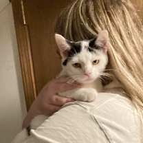 Thumbnail photo of Larry, Darrell and Darryl #4