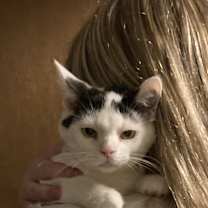 Thumbnail photo of Darryl, Darrell and Larry #2