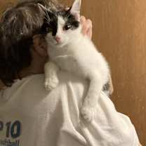 Thumbnail photo of Darryl, Darrell and Larry #3