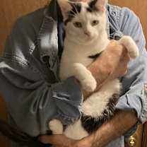 Thumbnail photo of Darryl, Darrell and Larry #4