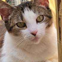 Thumbnail photo of Annie #3