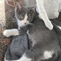 Thumbnail photo of August #1