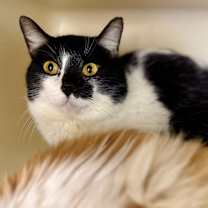 Thumbnail photo of Tomas #2