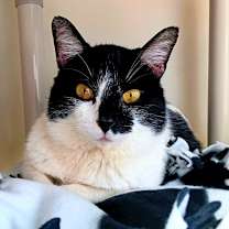 Thumbnail photo of Tomas #3