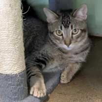 Thumbnail photo of Tristan #1