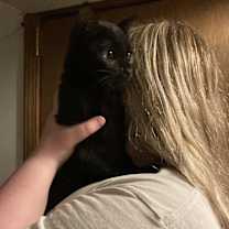 Thumbnail photo of Cassandra bonded with Connie #1