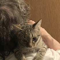 Thumbnail photo of Connie bonded with Cassandra #1