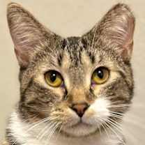 Thumbnail photo of Derek #1