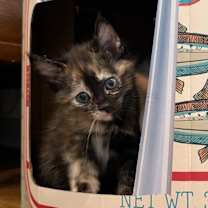 Thumbnail photo of JJ #3