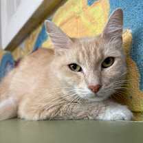 Thumbnail photo of Karol #2