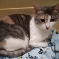 Thumbnail photo of ELSIE #3