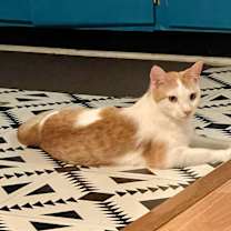 Thumbnail photo of Jesse #2