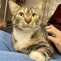 Thumbnail photo of Chiquita #1