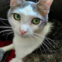 Thumbnail photo of Mia Anne #1