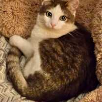 Thumbnail photo of Mia Anne #3