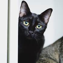 Thumbnail photo of Agua Fresca #1