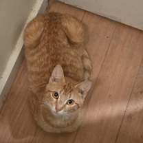 Thumbnail photo of Lady #2