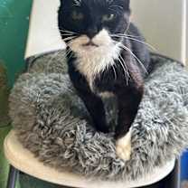 Thumbnail photo of Helga #3