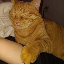 Thumbnail photo of Link #3