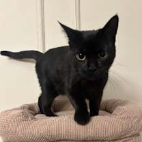 Thumbnail photo of Adriana #4