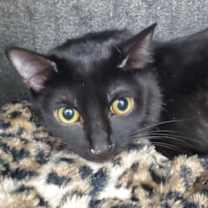 Thumbnail photo of Ciara #2