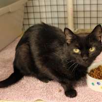 Thumbnail photo of Esme #3