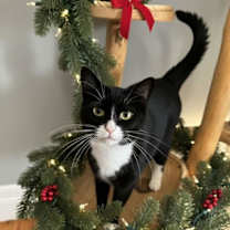 Thumbnail photo of Bernadette Brunswick #2